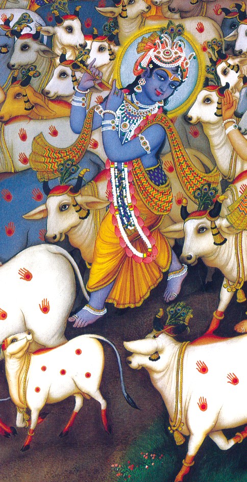 Krishna tribhanga con vacas - copia
