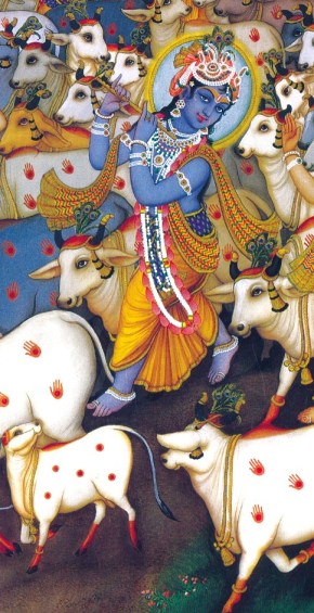 Krishna tribhanga con vacas - copia