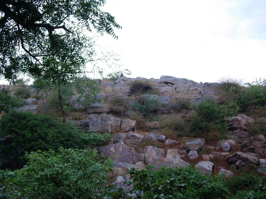 Govardhana parikrama Kartika Oct 20 2006 044